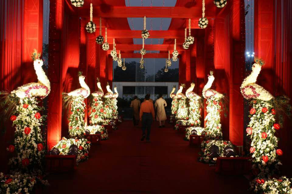 gujrat sound lights and led