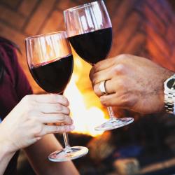 Dolphin Detective Agency