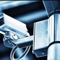 Black Fox Detective Service Pv