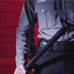 Ideal Security Services