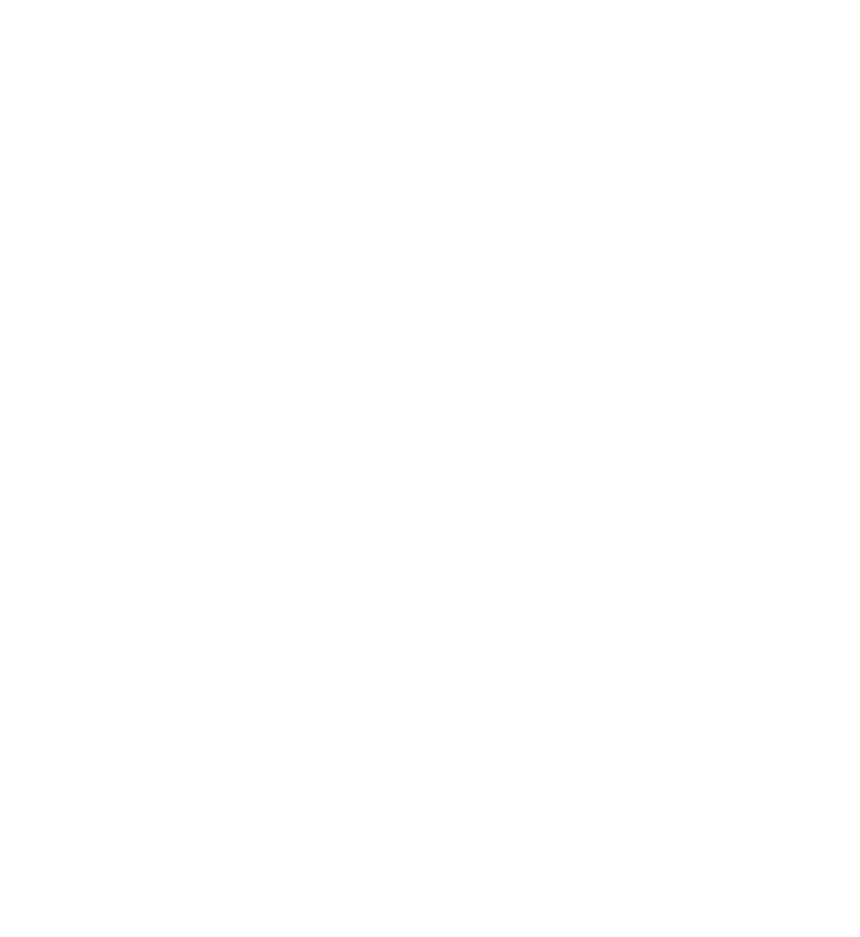 The Last Night Band